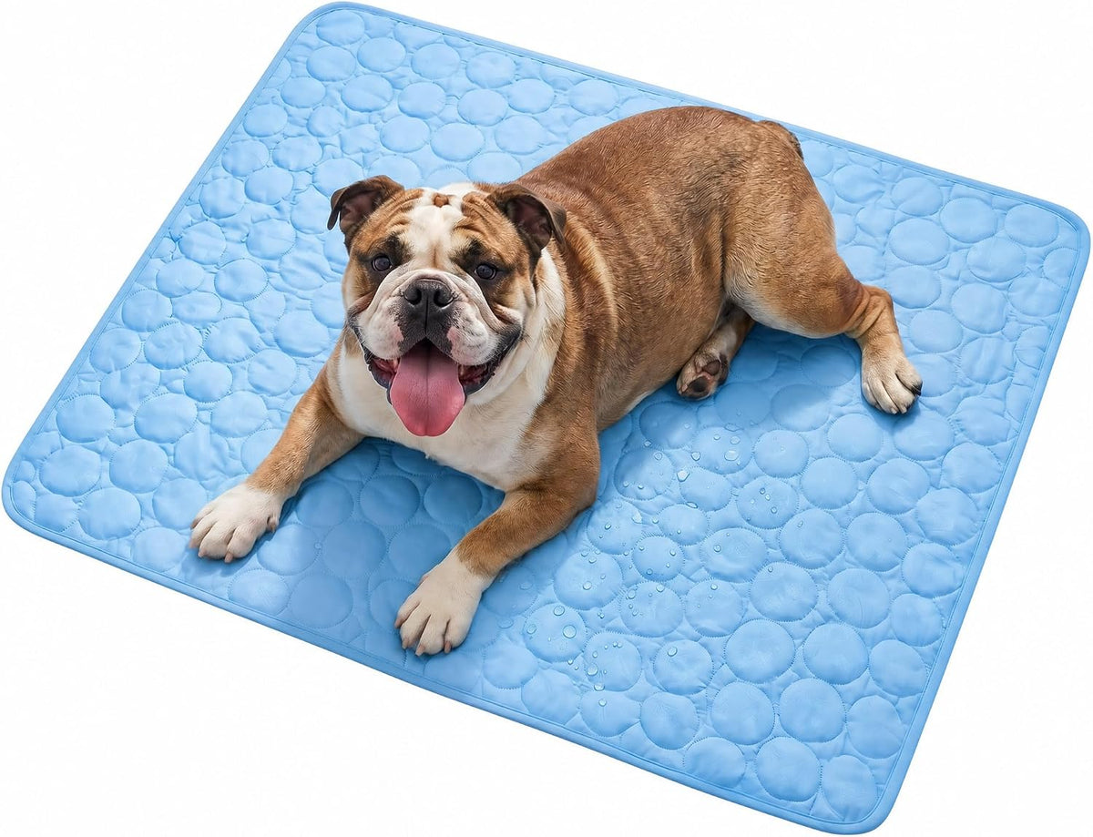 CyberPaws dog cooling mat 40 x 30 inches in blue