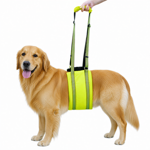 CyberPaws rear lift harness for large dogs in neon green