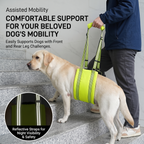 CyberPaws dog lift harness reflective design for low-light visibility