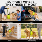 CyberPaws rear lift harness supporting a large dog during walking