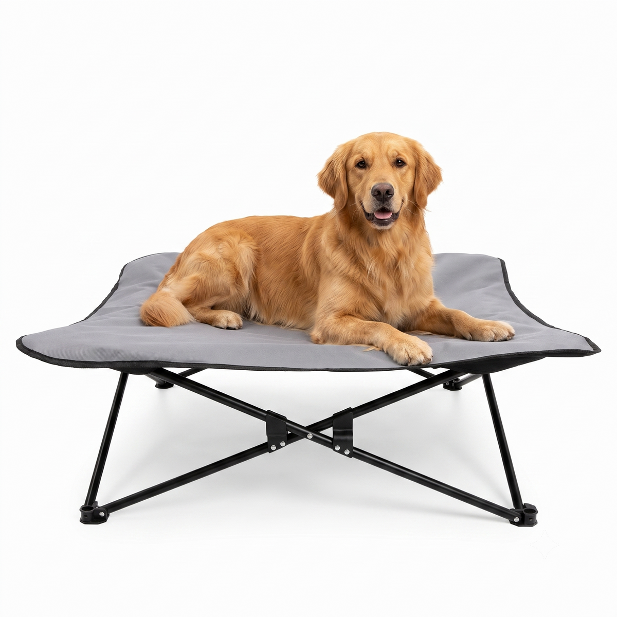 CyberPaws elevated dog bed 35 x 35 x 10 inches in gray